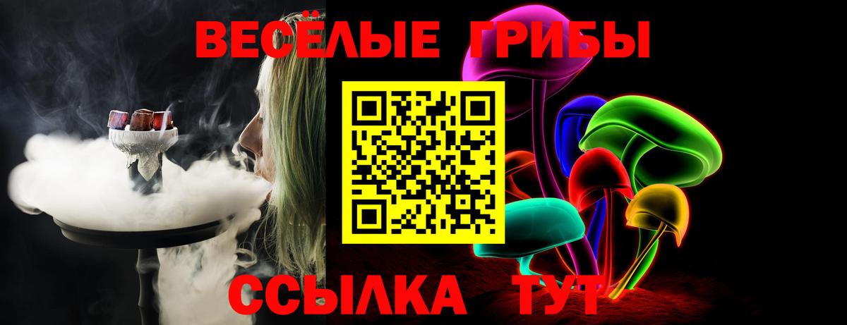 Галлюциногенные грибы Psilocybine cubensis  Псилоцибиновые грибы Psilocybe  Вход с VPN  Иваново 